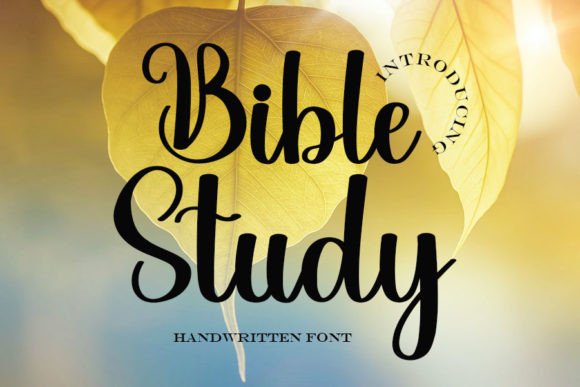 Bible Study Font: A Designer's Take on Elegant Branding