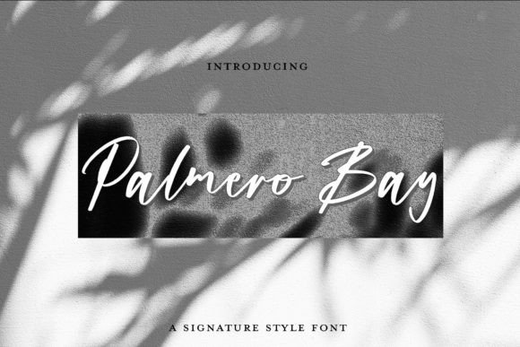 Palmero Bay: A Stylish Script Font